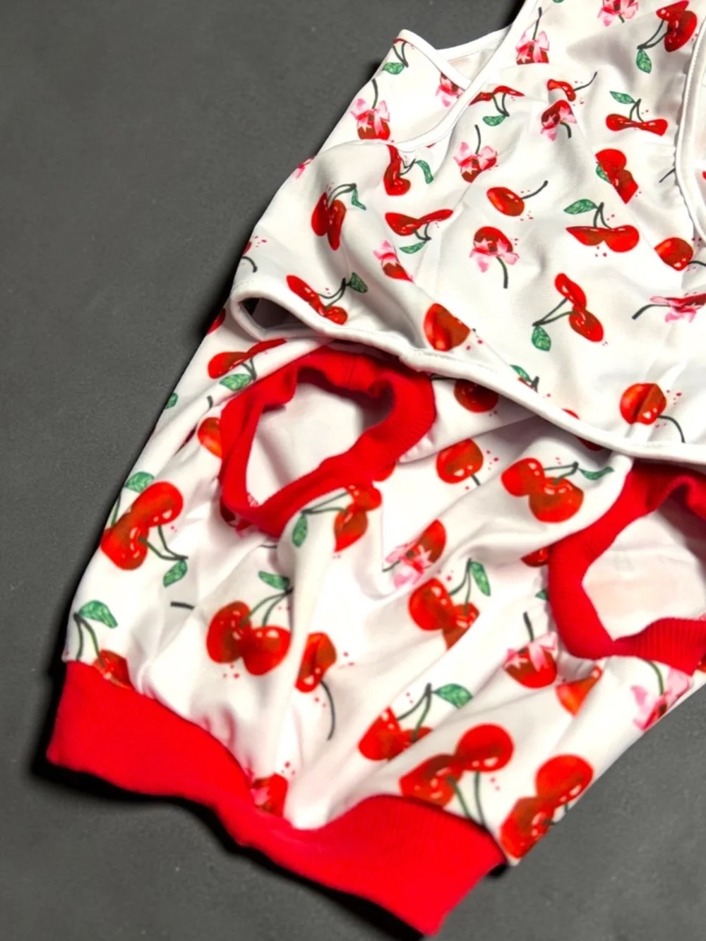 Dog Recovery Suit Large Cherry Print Surgery Onesie NWOT